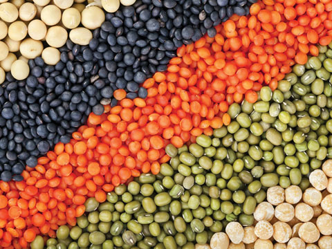 variety of colored lentils