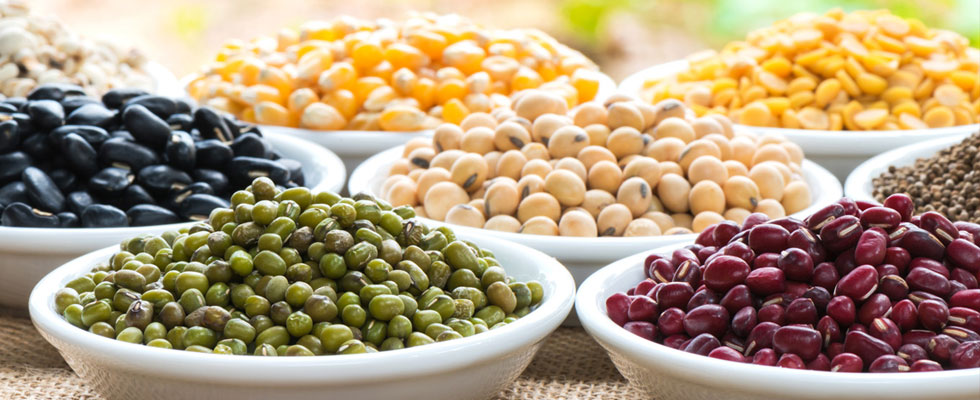 white bowls with varities of lentils